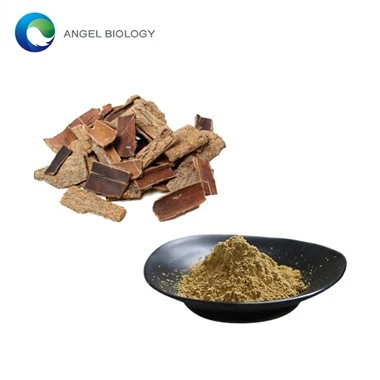 Does Eucommia Ulmoides Extract Powder Help With Joint Pain?